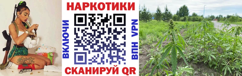 Хочу наркоту Новая Ляля ГАШ Альфа ПВП Меф мяу мяу Амфетамин Кокаин