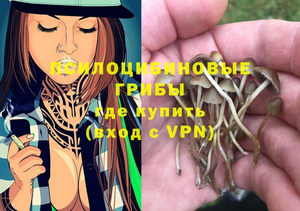 а пвп мука Алексин